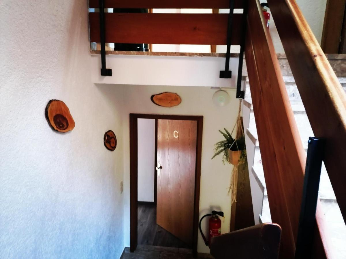 Villa Haus Schwarzwaldblick Hornberg Esterno foto