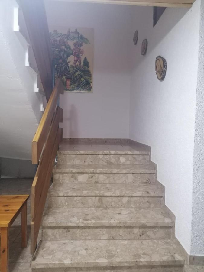 Villa Haus Schwarzwaldblick Hornberg Esterno foto